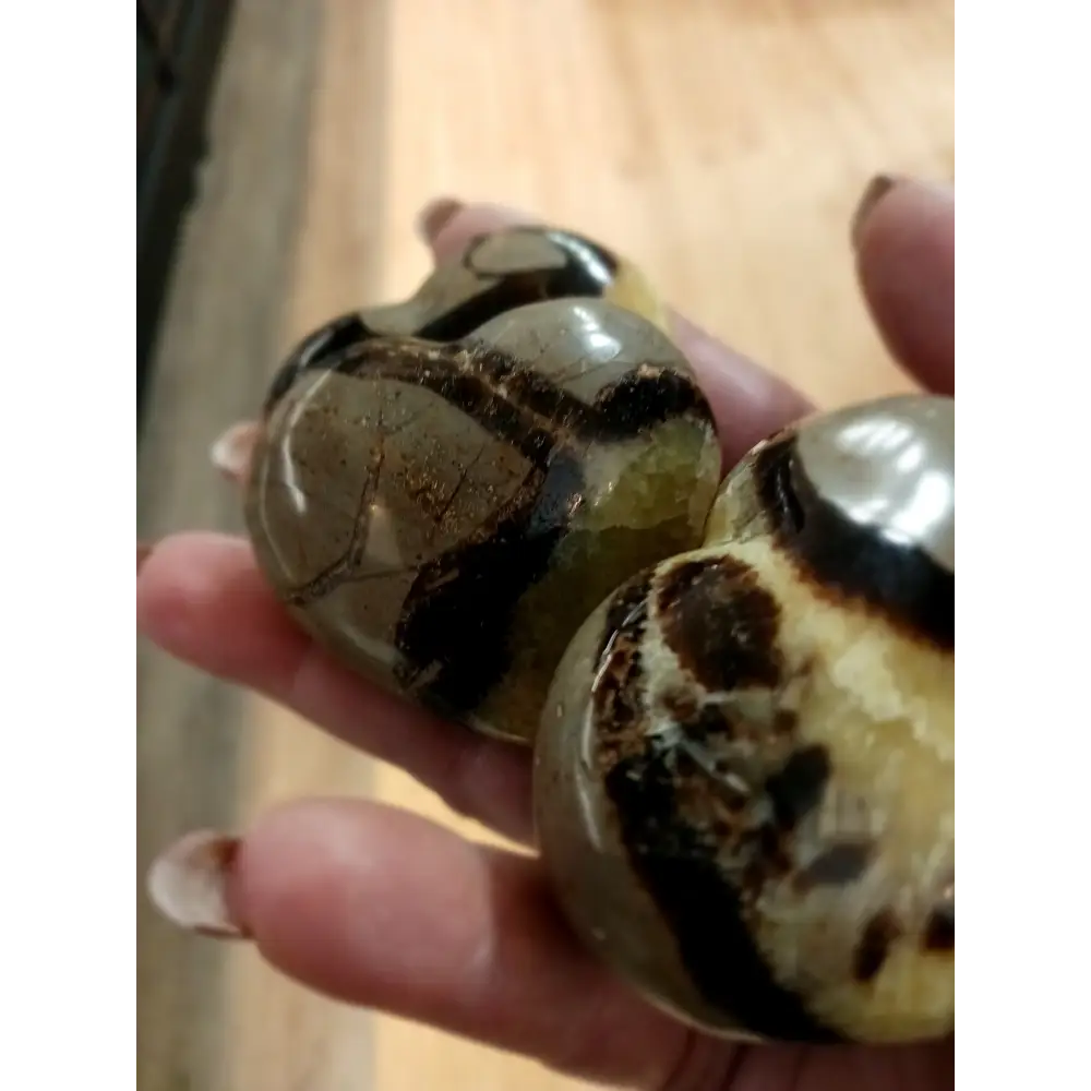 💛🤎 Septarian Hearts (approx. 2’’) – Nurturing Protection and Ancient Wisdom! 🤎💛 - Carvings