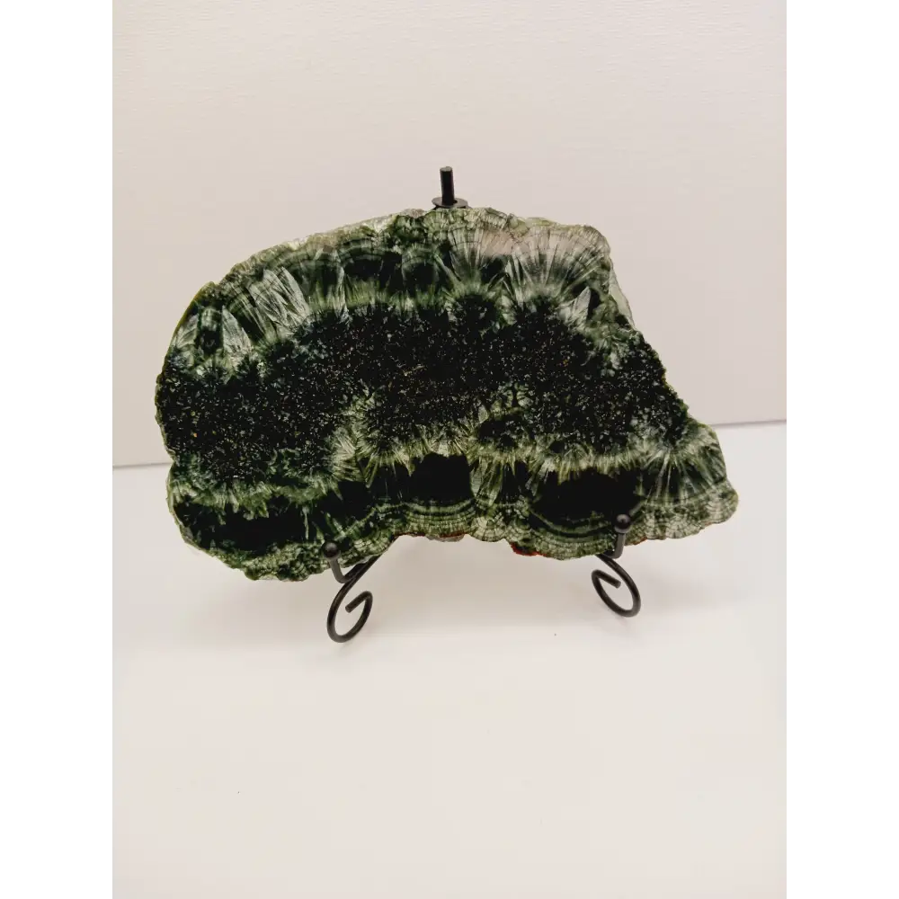 🌿✨ Seraphinite Slab 7’’ x 4’’ – Rare Radiant and Angelic Connection comes with stand