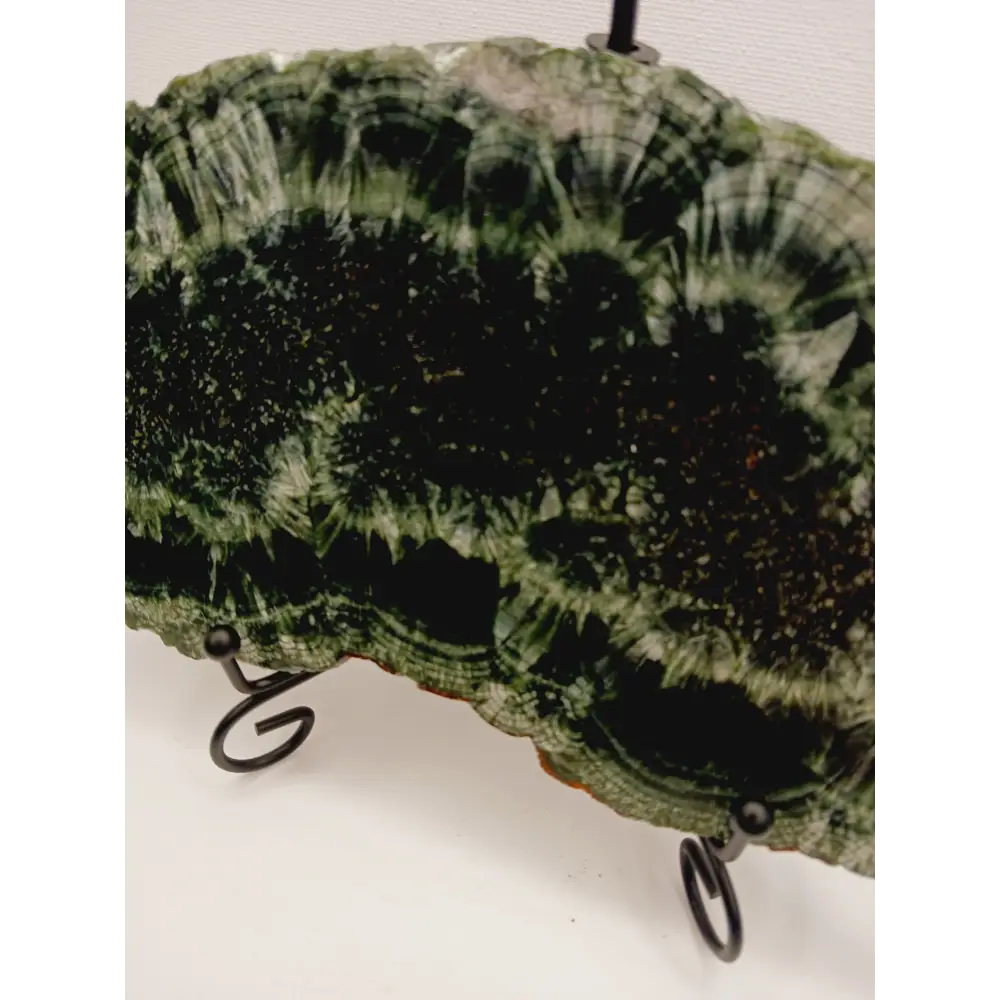 🌿✨ Seraphinite Slab 7’’ x 4’’ – Rare Radiant and Angelic Connection comes with stand