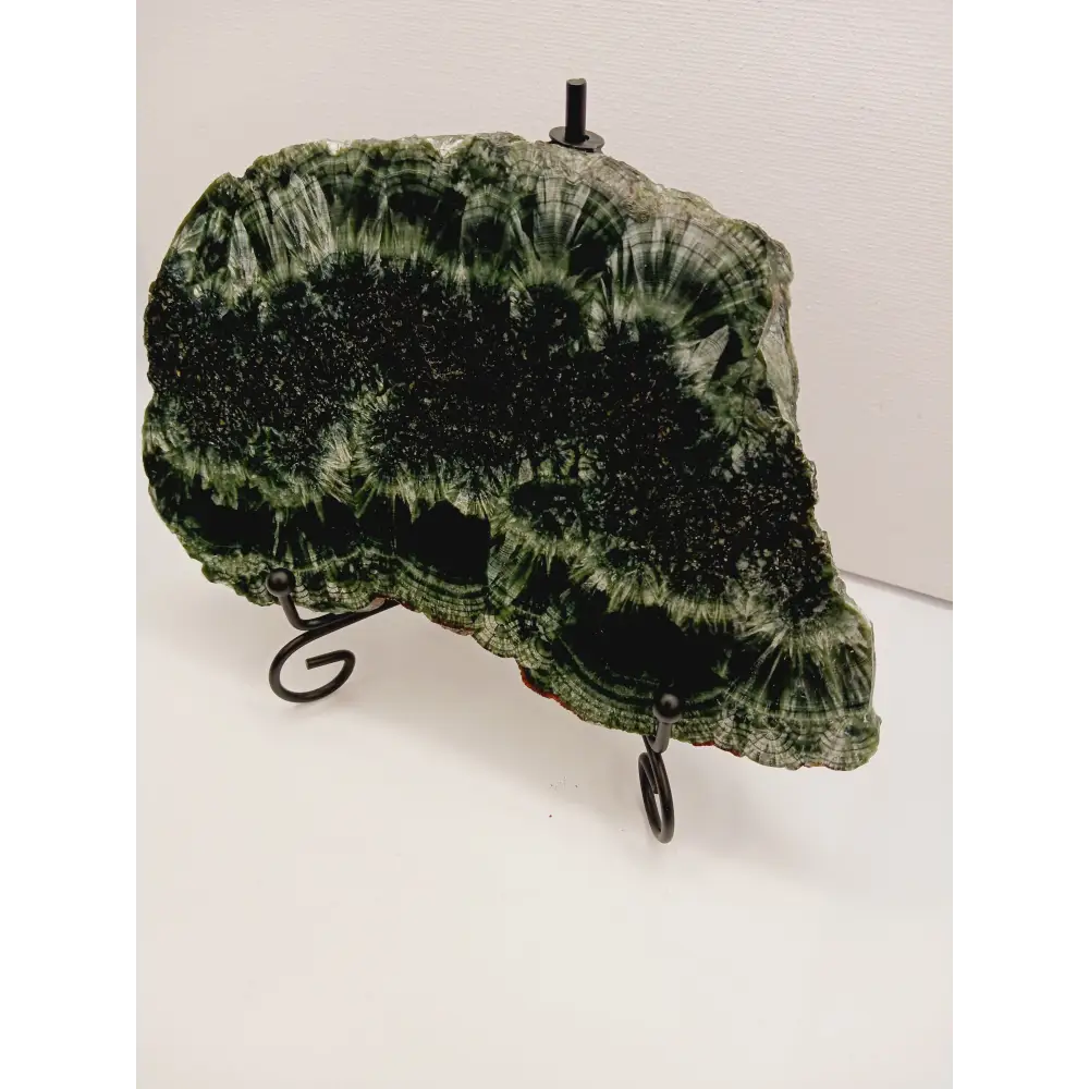 🌿✨ Seraphinite Slab 7’’ x 4’’ – Rare Radiant and Angelic Connection comes with stand