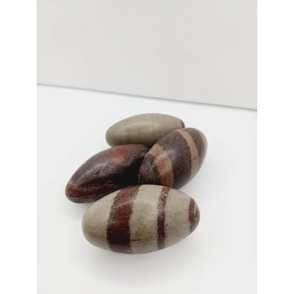 Shiva Lingam stones, polished with natural earthy patterns, available in sizes 1" to 8", displayed on a white background.