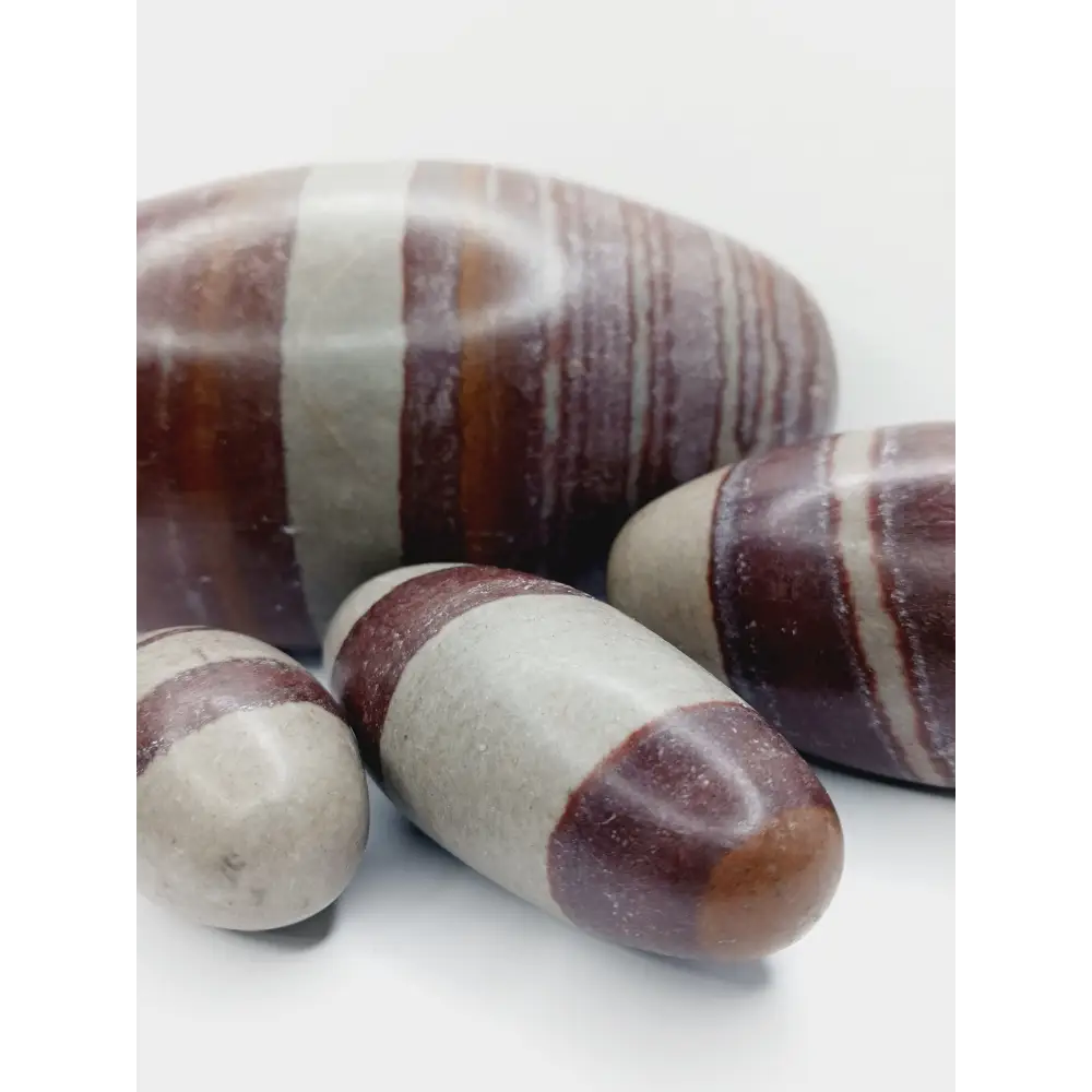 Shiva Lingam stones, polished with natural earthy patterns, available in sizes 1" to 8", displayed on a white background.
