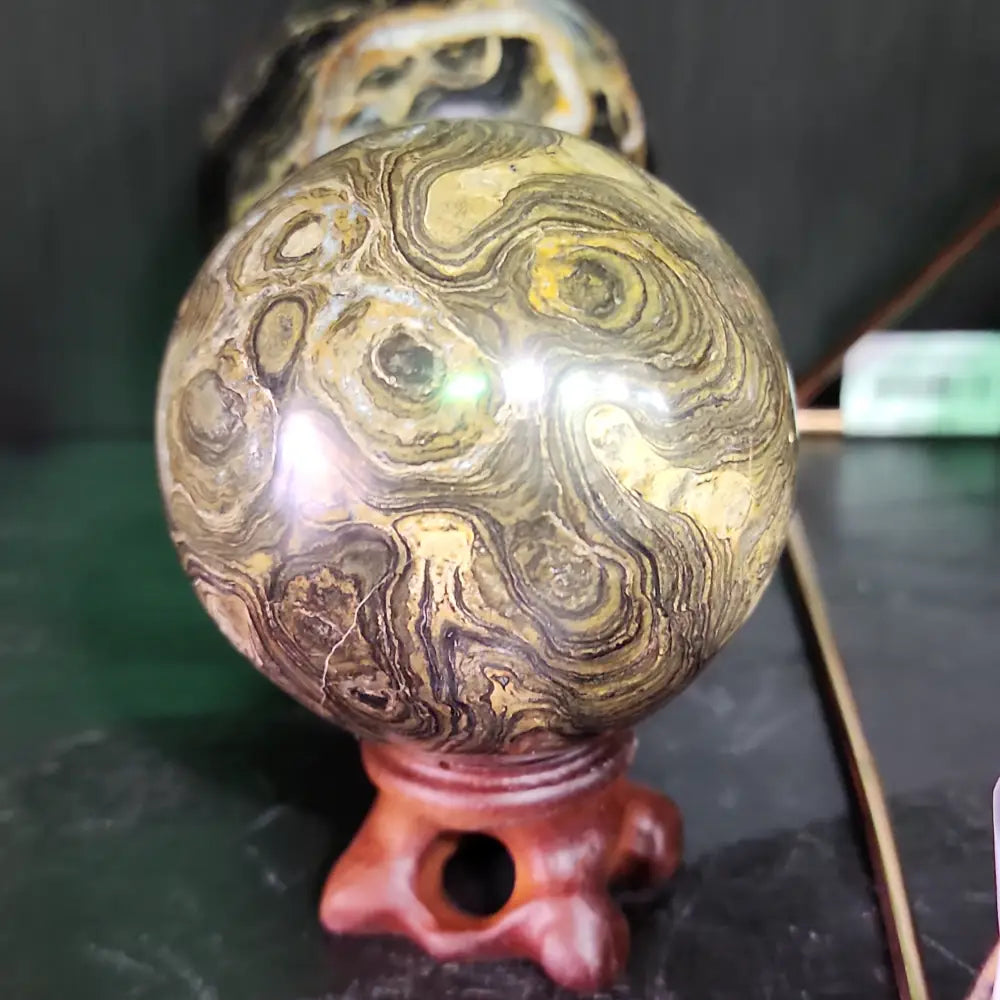 Hand-polished Stromatolite fossil sphere, approximately 2.5 inches in diameter, featuring swirling earthy fossilized patterns, displayed on a white background.