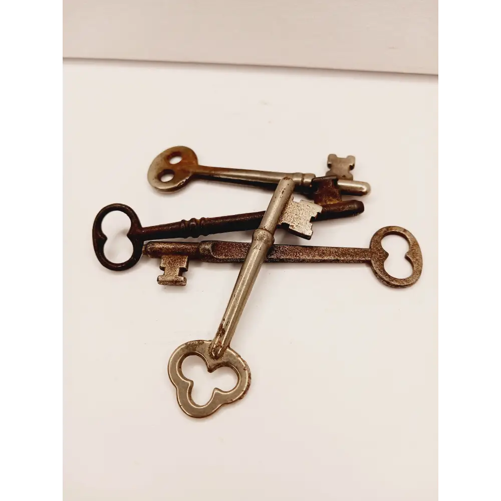 🗝️✨ Vintage Skeleton Keys – Unlock Magic Mystery and Possibility 🌙