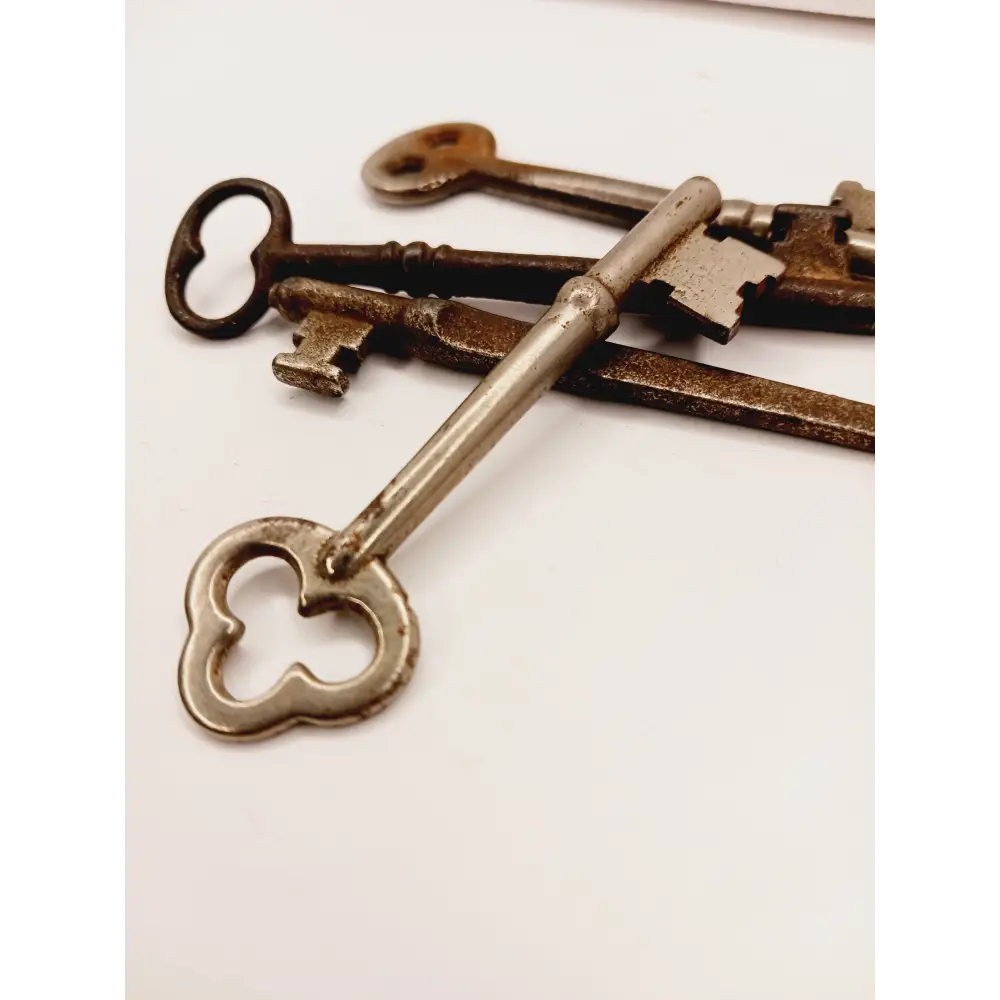 🗝️✨ Vintage Skeleton Keys – Unlock Magic Mystery and Possibility 🌙