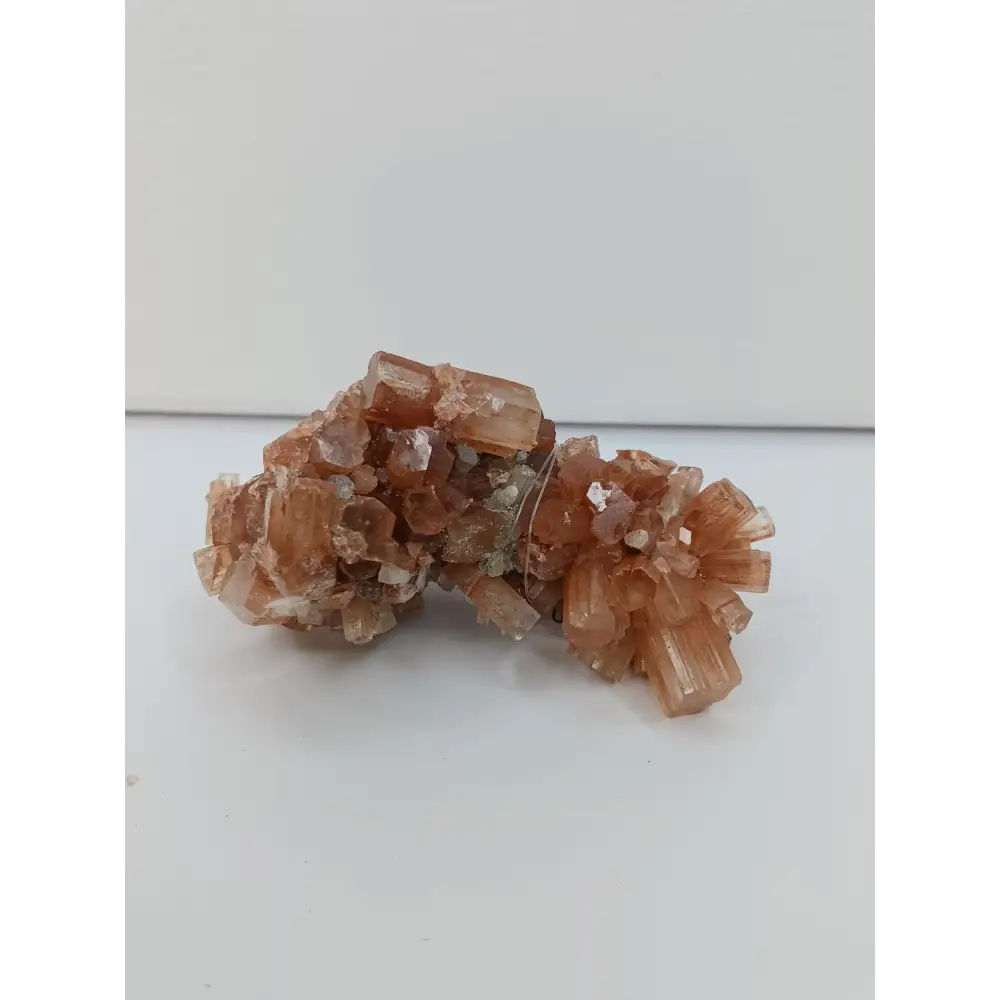 🤎✨ 2.5’’ Aragonite Specimens – Centering & Earth Energy! 🌍 - 4 - Specimens