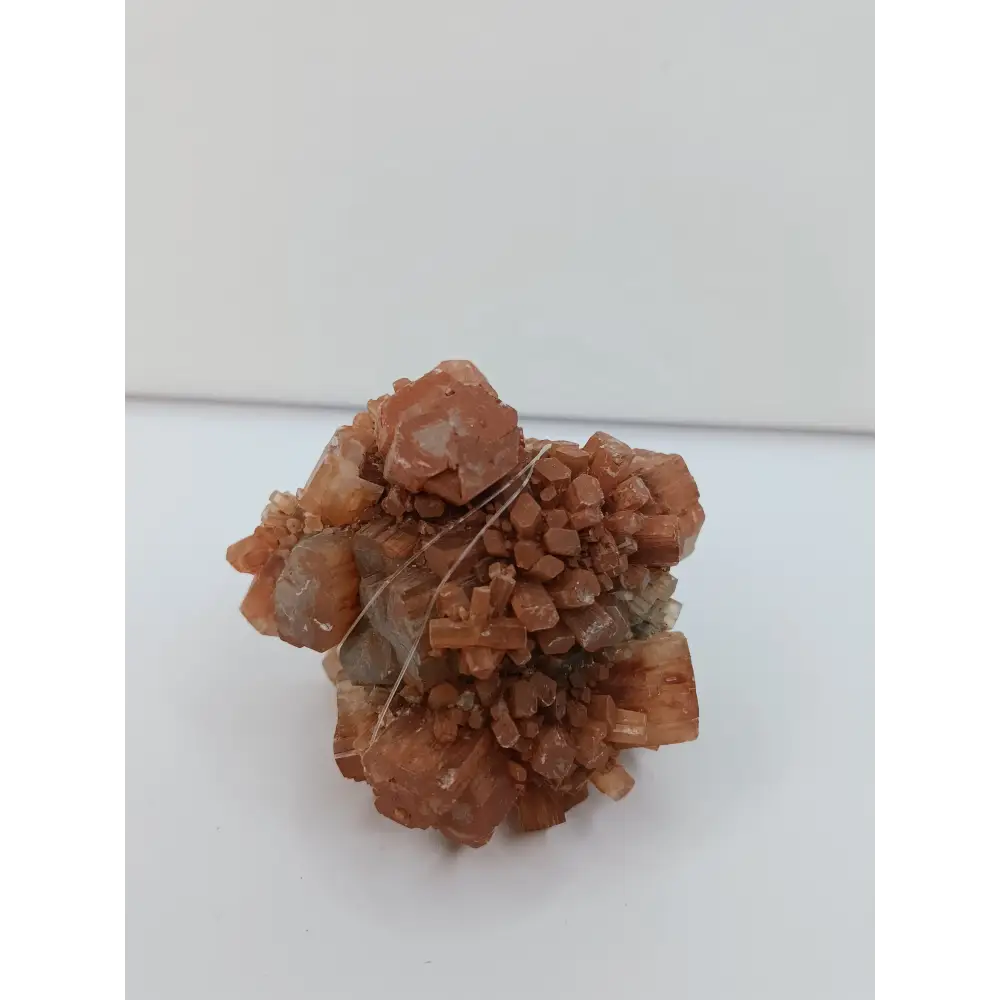 🤎✨ 2.5’’ Aragonite Specimens – Centering & Earth Energy! 🌍 - 5 - Specimens