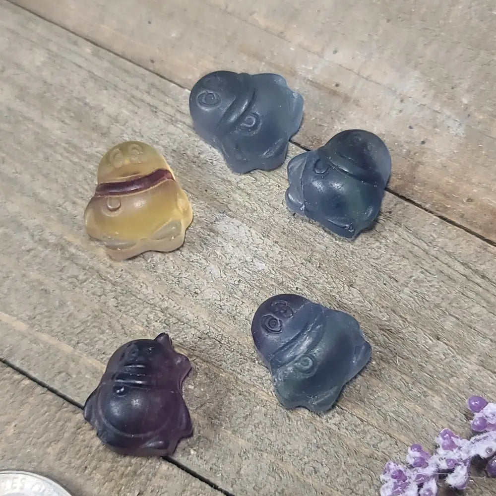 3/4’’ Rainbow Fluorite Carvings Buddha Penguin and Turtle - Penguin - Carvings