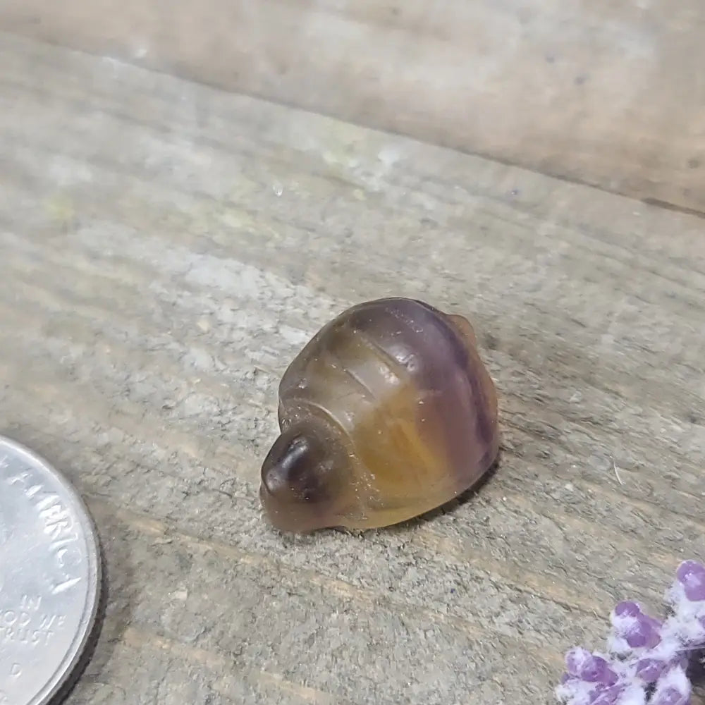 3/4’’ Rainbow Fluorite Carvings Buddha Penguin and Turtle - Turtle - Carvings