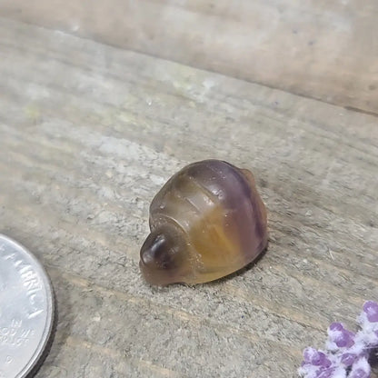 3/4’’ Rainbow Fluorite Carvings Buddha Penguin and Turtle - Turtle - Carvings
