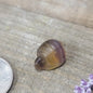 3/4’’ Rainbow Fluorite Carvings Buddha Penguin and Turtle - Turtle - Carvings