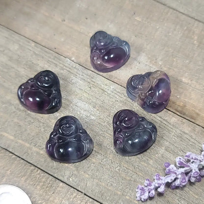 3/4’’ Rainbow Fluorite Carvings Buddha Penguin and Turtle - Buddha - Carvings