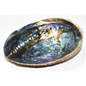 5’’- 6’’ Abalone Shell Incense Burner (a Quality) - Incense & Burners