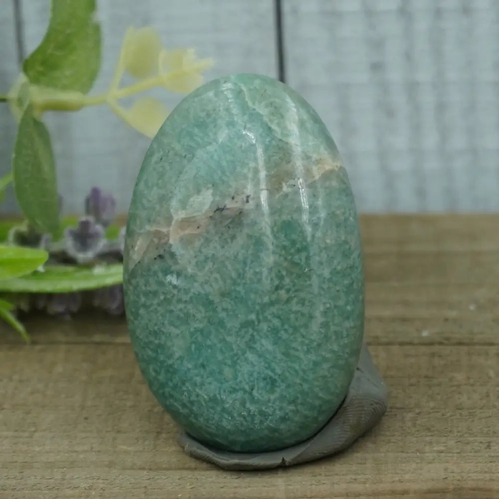 AMAZONITE PALMS - PALM