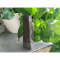 🌈🗼 Assorted Crystal Obelisk Towers – Elevate Your Energy and Decor! 🗼🌈 - 6- 6’’ - Towers