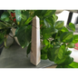 🌈🗼 Assorted Crystal Obelisk Towers – Elevate Your Energy and Decor! 🗼🌈 - 16 - Towers