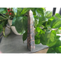 🌈🗼 Assorted Crystal Obelisk Towers – Elevate Your Energy and Decor! 🗼🌈 - 7 - Towers