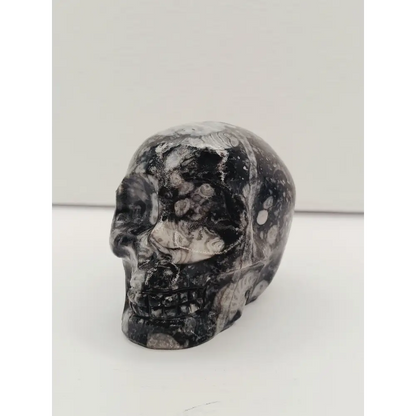 💀✨ Assorted Material Skull 2.6” – Wisdom Transformation and Protection 🌈 - Shell Stone