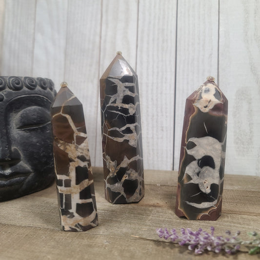 Hand-polished Black Septarian stone featuring bold yellow, brown, and black patterns, displayed on a white background.