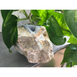 🔹✨ Blue Lace Agate Specimens – Soothing Communication and Gentle Peace! 🌬️ - 4 - Specimens
