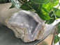 Polished Blue Lace Agate specimen with soft blue and white banding, displayed on a white background. Perfect for calming communication and gentle peace.