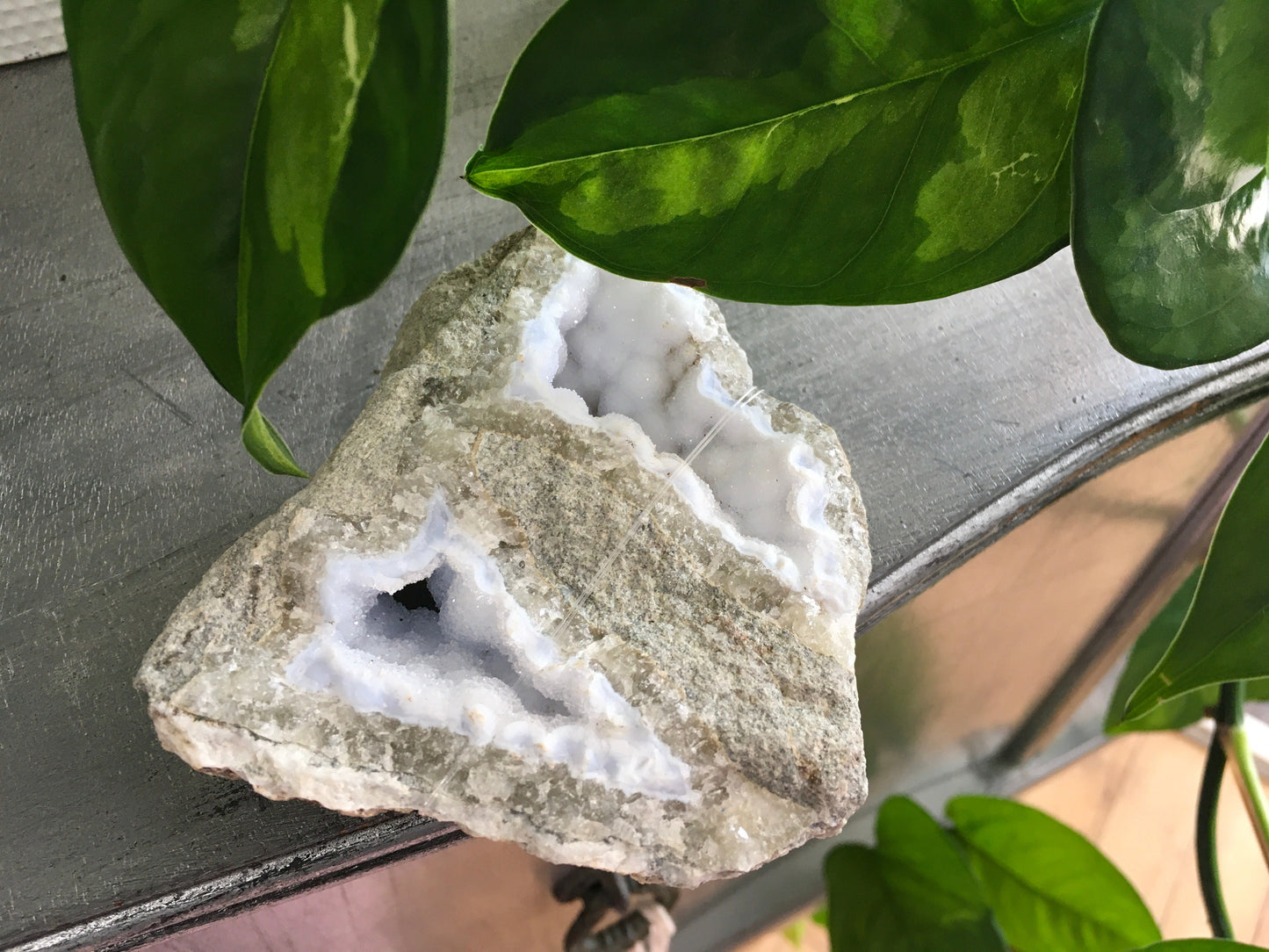 🔹✨ Blue Lace Agate Specimens – Soothing Communication and Gentle Peace! 🌬️ - 9 - Specimens