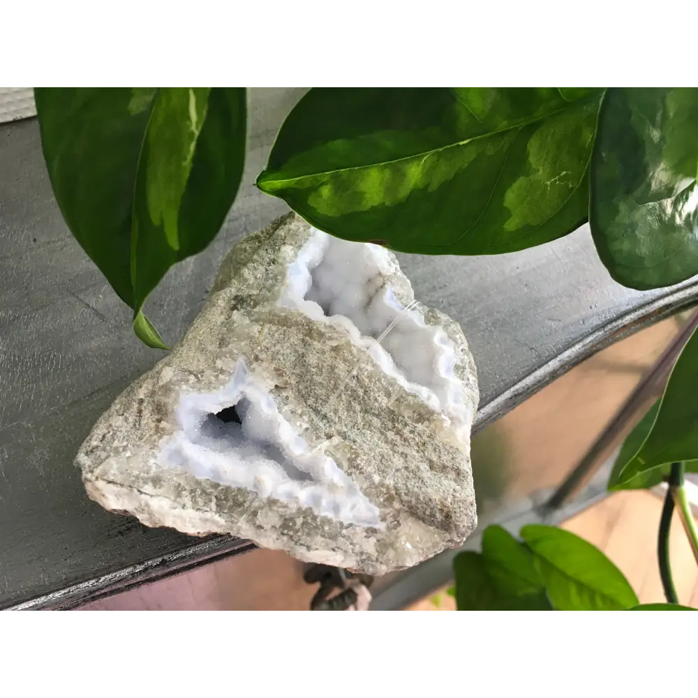 🔹✨ Blue Lace Agate Specimens – Soothing Communication and Gentle Peace! 🌬️ - 9 - Specimens