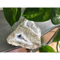 🔹✨ Blue Lace Agate Specimens – Soothing Communication and Gentle Peace! 🌬️ - 9 - Specimens