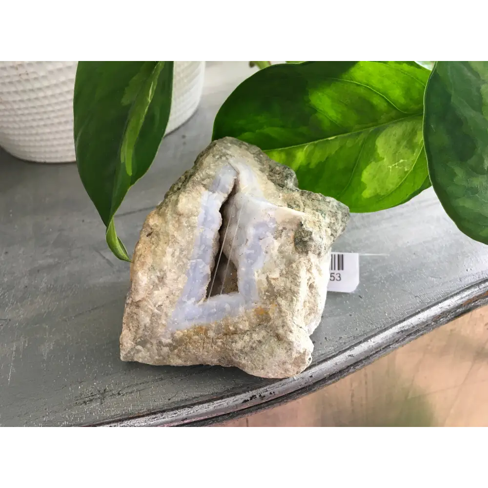 🔹✨ Blue Lace Agate Specimens – Soothing Communication and Gentle Peace! 🌬️ - 8 - Specimens