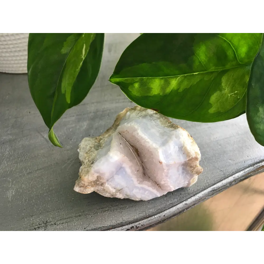 🔹✨ Blue Lace Agate Specimens – Soothing Communication and Gentle Peace! 🌬️ - 3 - Specimens