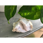 🔹✨ Blue Lace Agate Specimens – Soothing Communication and Gentle Peace! 🌬️ - 3 - Specimens