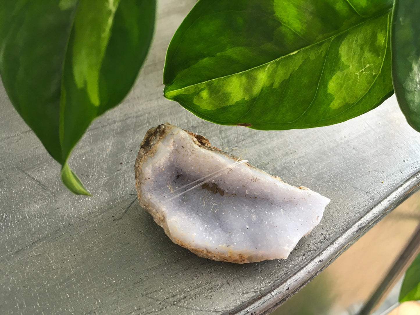 🔹✨ Blue Lace Agate Specimens – Soothing Communication and Gentle Peace! 🌬️ - 1 - Specimens