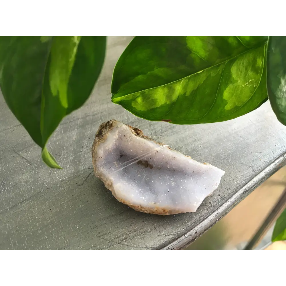 🔹✨ Blue Lace Agate Specimens – Soothing Communication and Gentle Peace! 🌬️ - 1 - Specimens