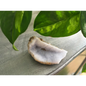 🔹✨ Blue Lace Agate Specimens – Soothing Communication and Gentle Peace! 🌬️ - 1 - Specimens