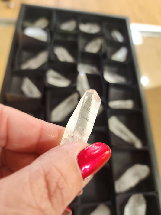 🌟✨ Brazilian AAA Grade Lemurian Seed Crystals – Ancient Wisdom & High-Vibrational Light! 🔮 - 1 - Specimens