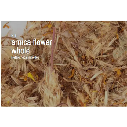 Bulk Herbs by the Half Ounce (.5 oz) - Arnica Flower, whole - Herbs & Accessories