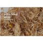 Bulk Herbs by the Half Ounce (.5 oz) - Arnica Flower, whole - Herbs & Accessories