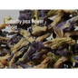 Bulk Herbs by the Half Ounce (.5 oz) - Butterfly Pea Flower - Herbs & Accessories