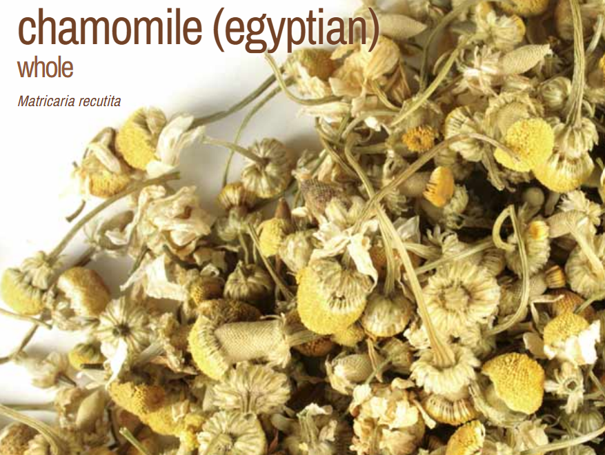Bulk Herbs by the Half Ounce (.5 oz) - Chamomile Egyptian - Herbs & Accessories
