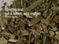 Bulk Herbs by the Half Ounce (.5 oz) - Comfrey Leaf - Herbs & Accessories