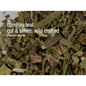 Bulk Herbs by the Half Ounce (.5 oz) - Comfrey Leaf - Herbs & Accessories