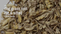 Bulk Herbs by the Half Ounce (.5 oz) - Dog Grass (couchroot) Root - Herbs & Accessories