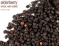Bulk Herbs by the Half Ounce (.5 oz) - Elderberry Whole - Herbs & Accessories