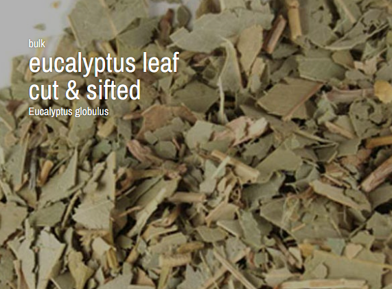 Bulk Herbs by the Half Ounce (.5 oz) - Eucalyptus Leaf - Herbs & Accessories