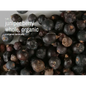 Bulk Herbs by the Half Ounce (.5 oz) - Juniper Berry Whole - Herbs & Accessories