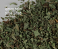 Bulk Herbs by the Half Ounce (.5 oz) - Lemon Balm - Herbs & Accessories
