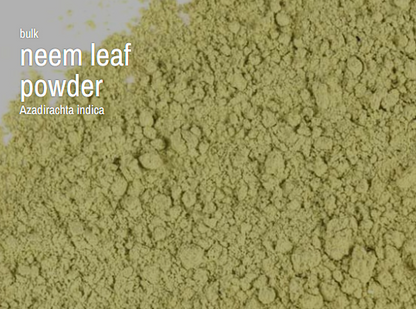 Bulk Herbs by the Half Ounce (.5 oz) - Neem Leaf Powder - Herbs & Accessories