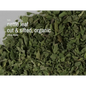 Bulk Herbs by the Half Ounce (.5 oz) - Nettle Leaf - Herbs & Accessories