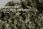 Bulk Herbs by the Half Ounce (.5 oz) - Raspberry Leaf - Herbs & Accessories