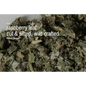 Bulk Herbs by the Half Ounce (.5 oz) - Raspberry Leaf - Herbs & Accessories